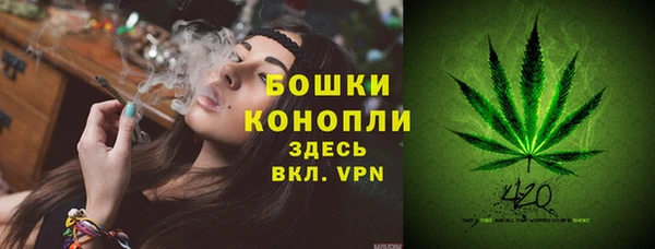 PSILOCYBIN Алексин
