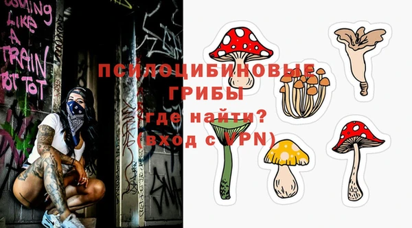 PSILOCYBIN Алексин