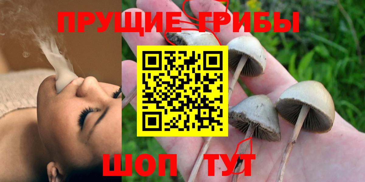 Унеча  Псилоцибиновые грибы Psilocybine cubensis  Псилоцибиновые грибы Cubensis  Вход с VPN 
